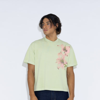 Boxy Fit T Pink Lirios